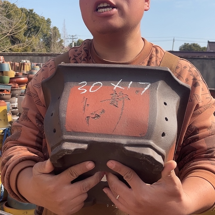 紫砂紫砂花盆盆栽