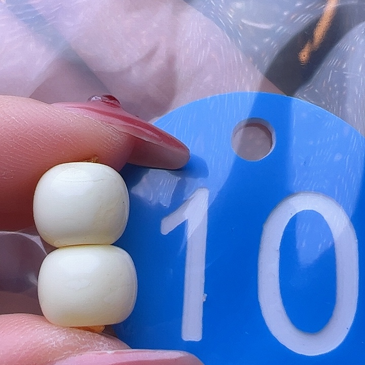 蜜蜡裸石未镶嵌9.6mm 白蜡 老型