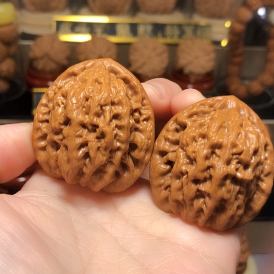 精品：原桩金公子