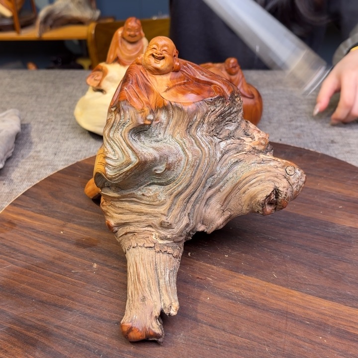 柏木（崖柏）关注一下