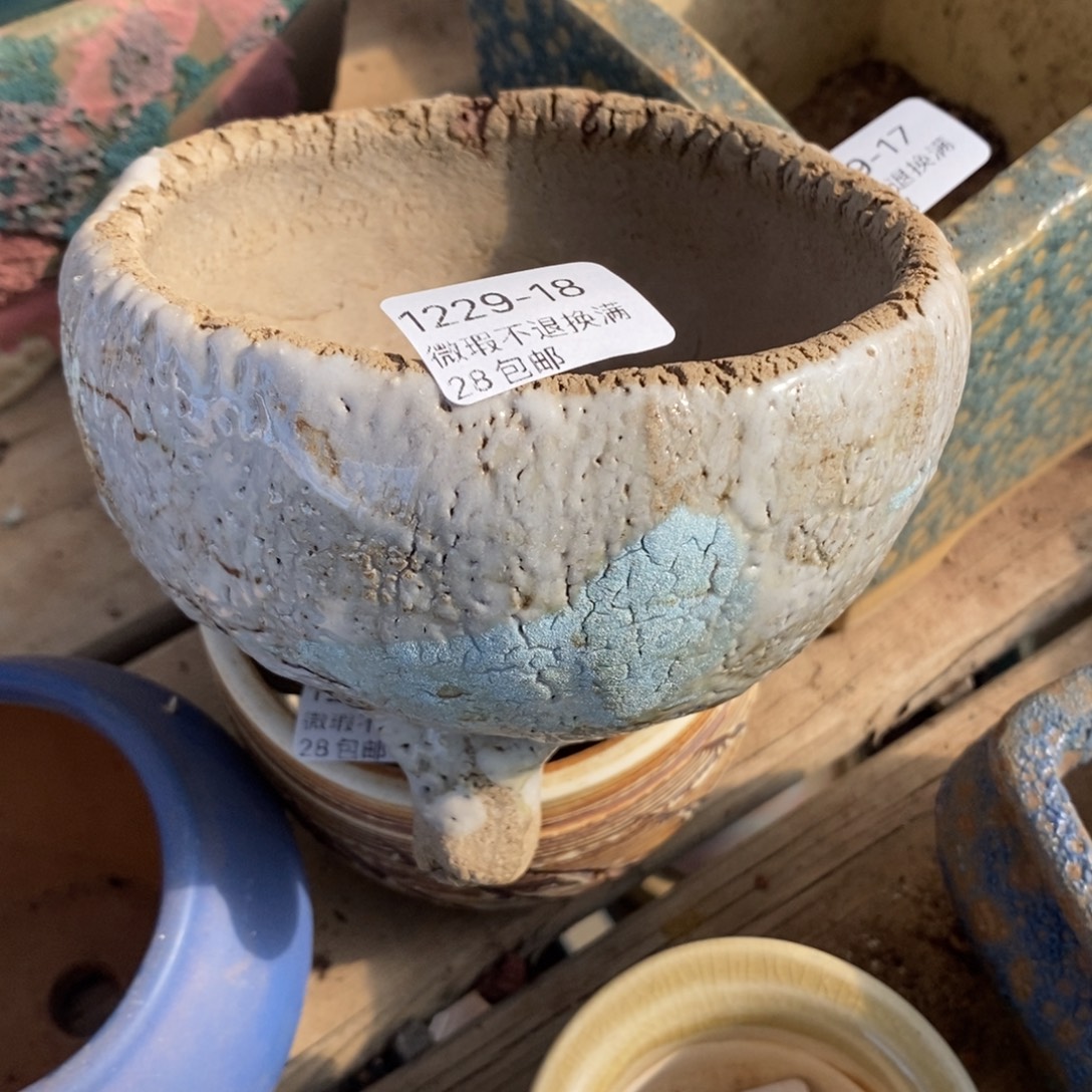 18号多肉盆口径10