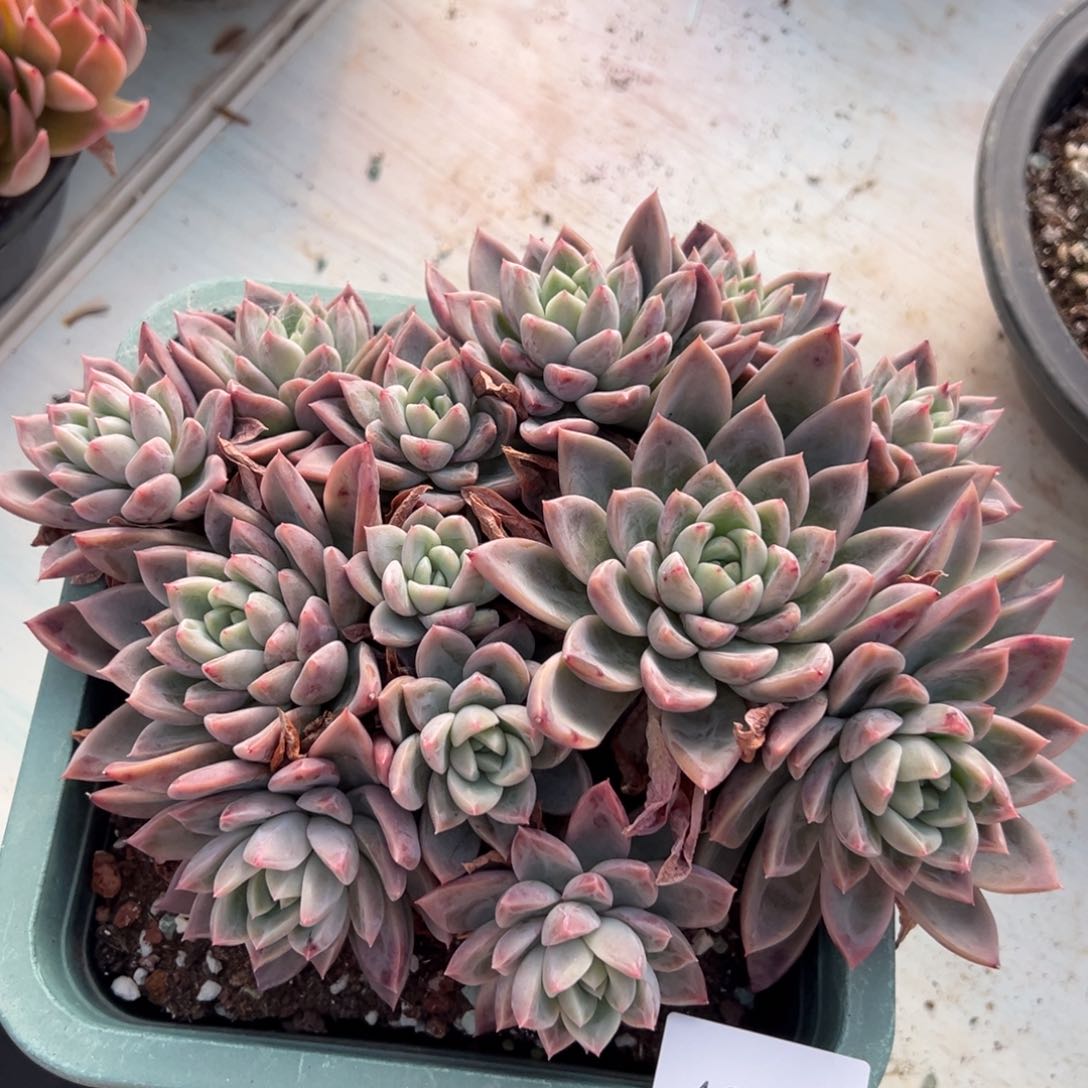 雨*?4214不包整肉肉肉肉肉肉