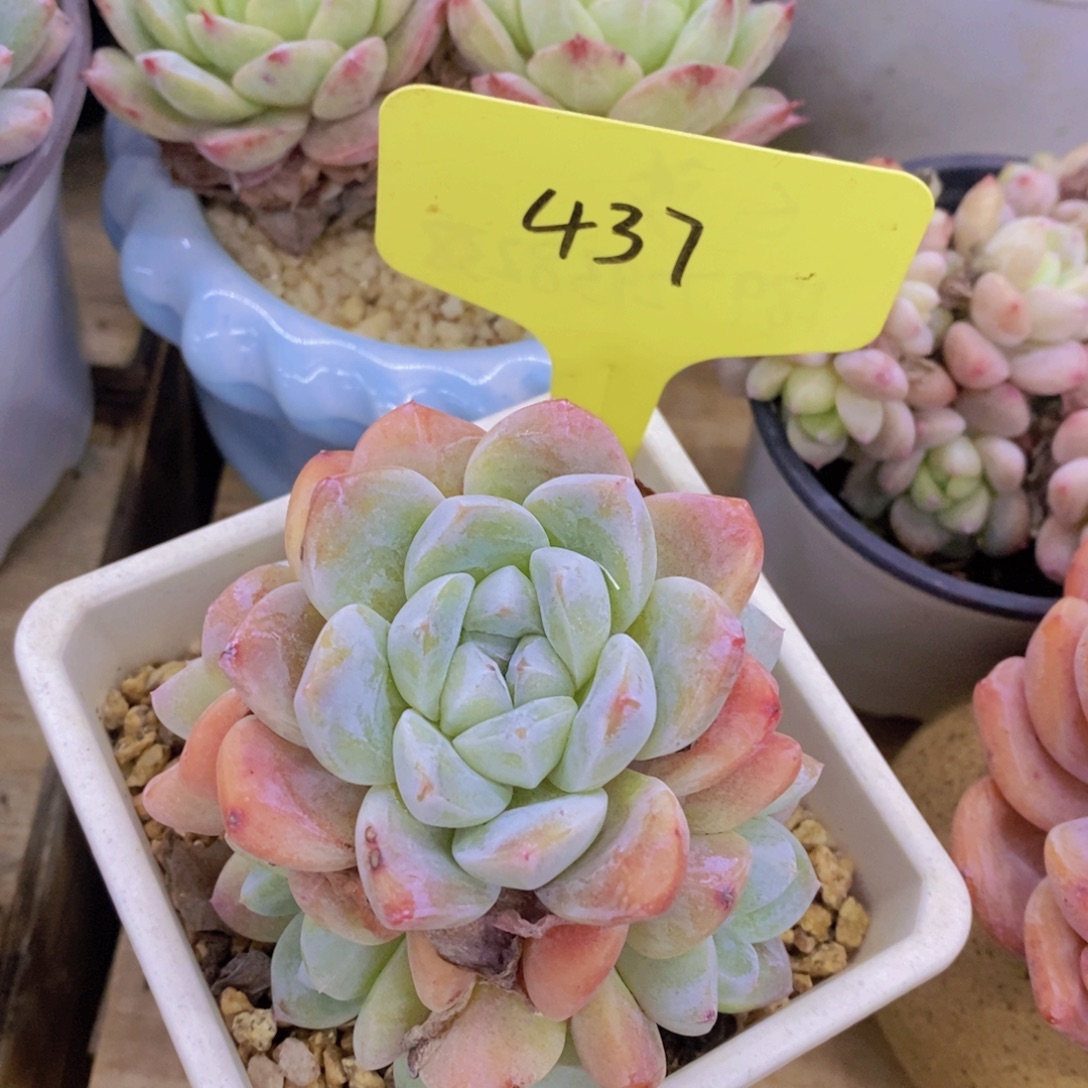 清货转场，一单包邮，满5宋1