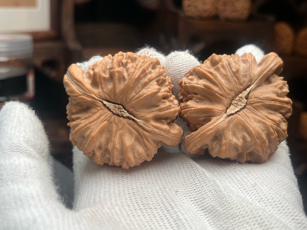 超大尺寸白狮子文玩核桃