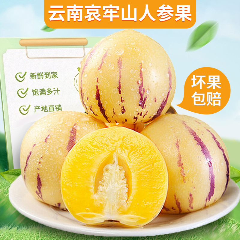 【云南爆汁人参果】河谷果园树上熟薄皮香脆一口飚汁香甜软糯