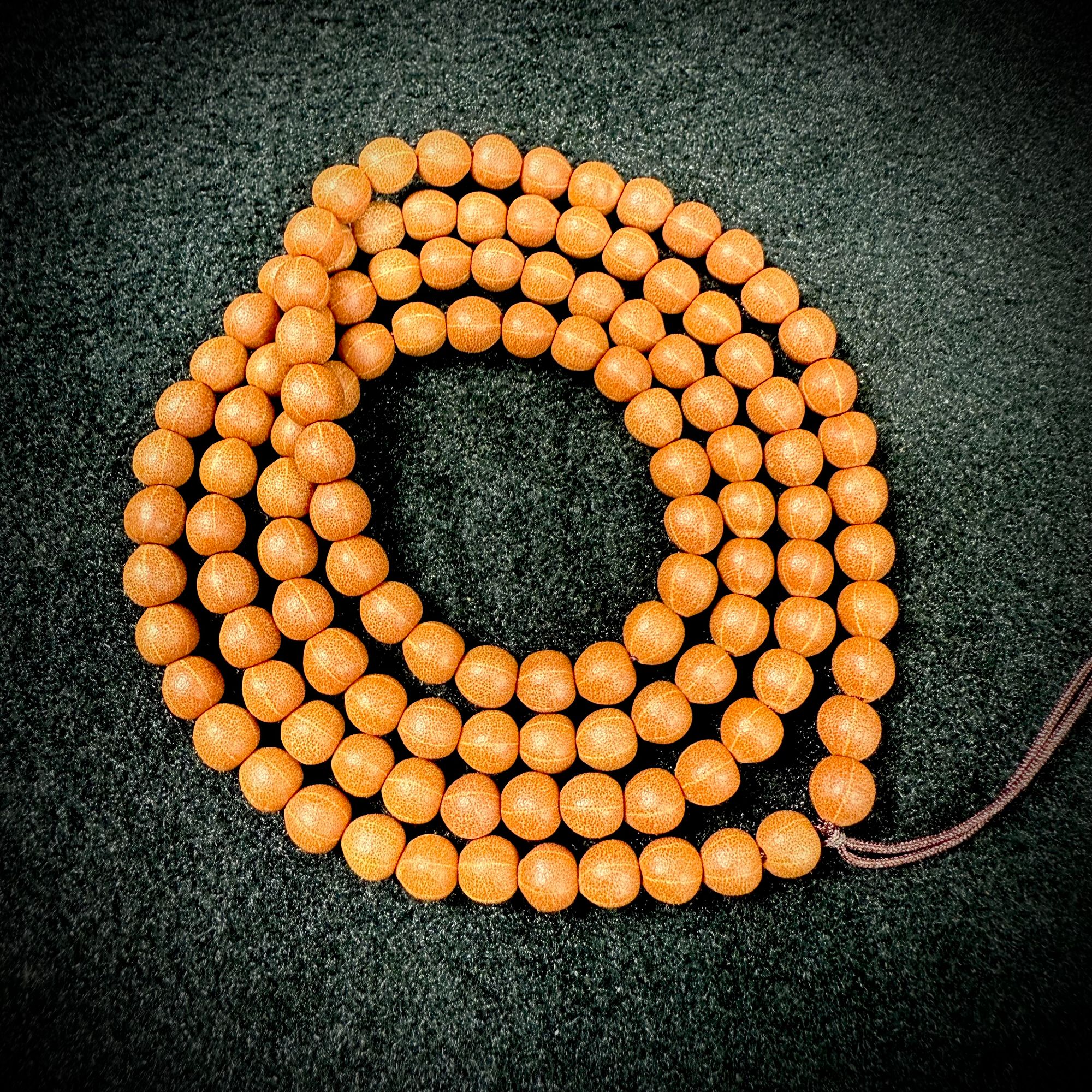 金五线菩提108男女款6