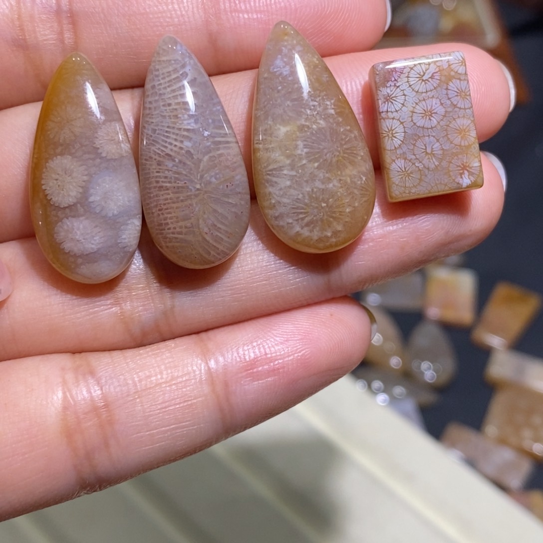 【闪购商品】未镶嵌珊瑚玉硅化玉18元一个 可挑选