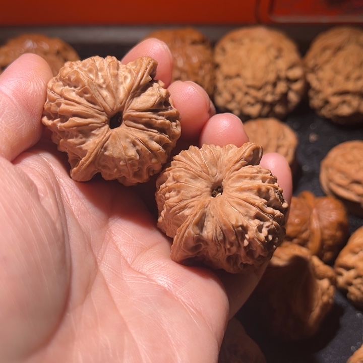 摩***生龙脊菩提吊坠血麒麟