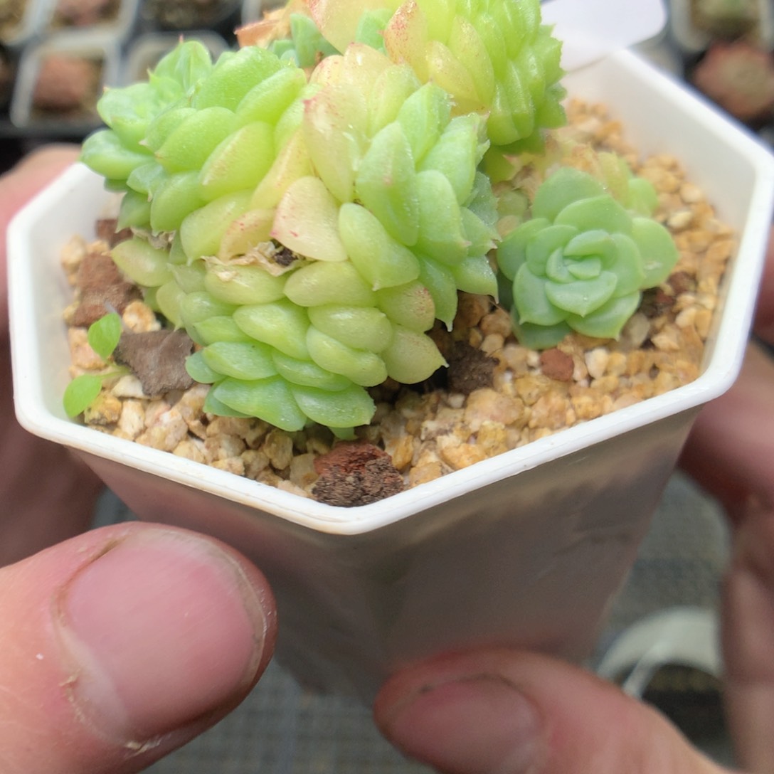 R188y y y y y y y y y