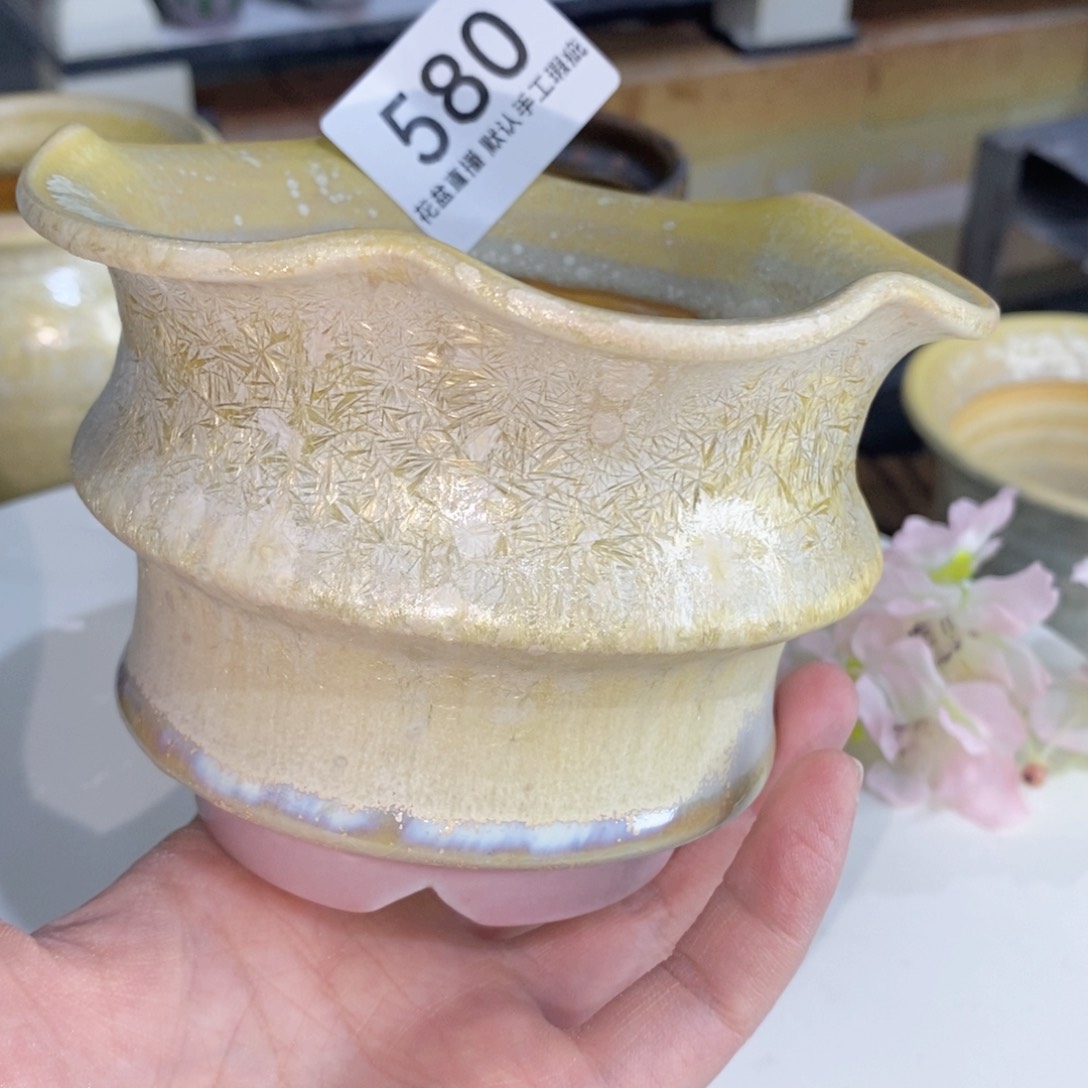 花盆花盆花盆花盆