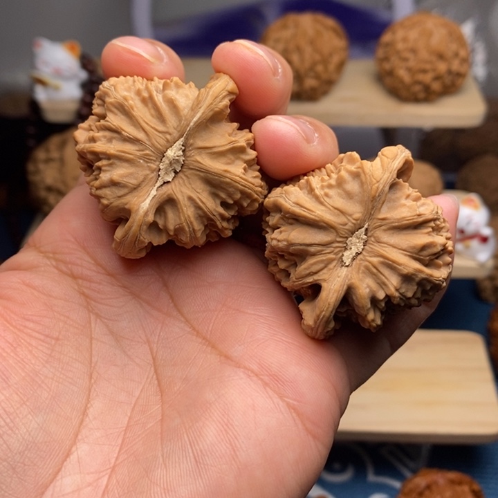 农***人文玩核桃把件41尺白狮子