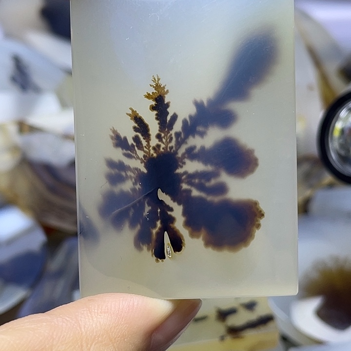 未镶嵌颈饰玛瑙/玉髓