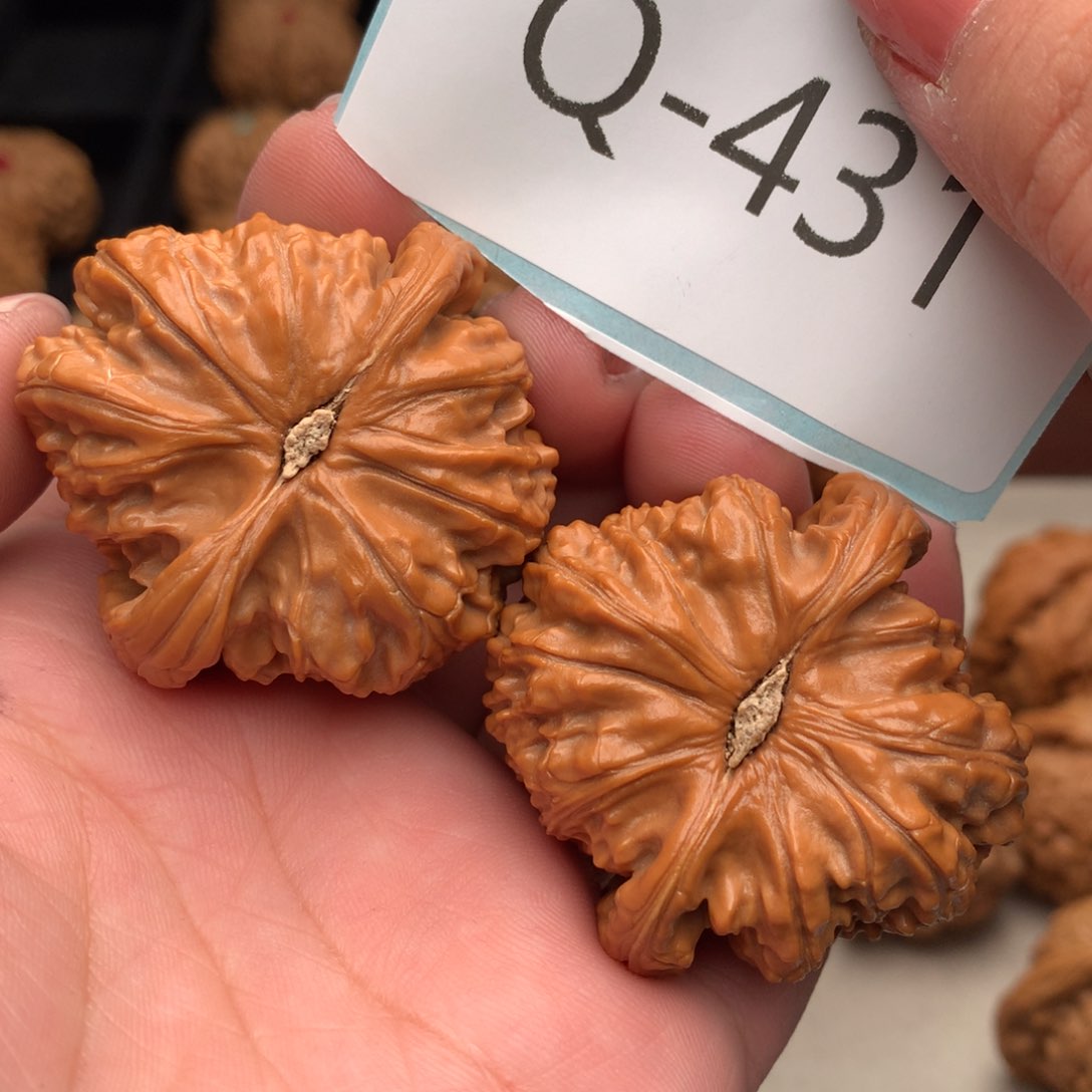 文玩核桃把件43球白…….