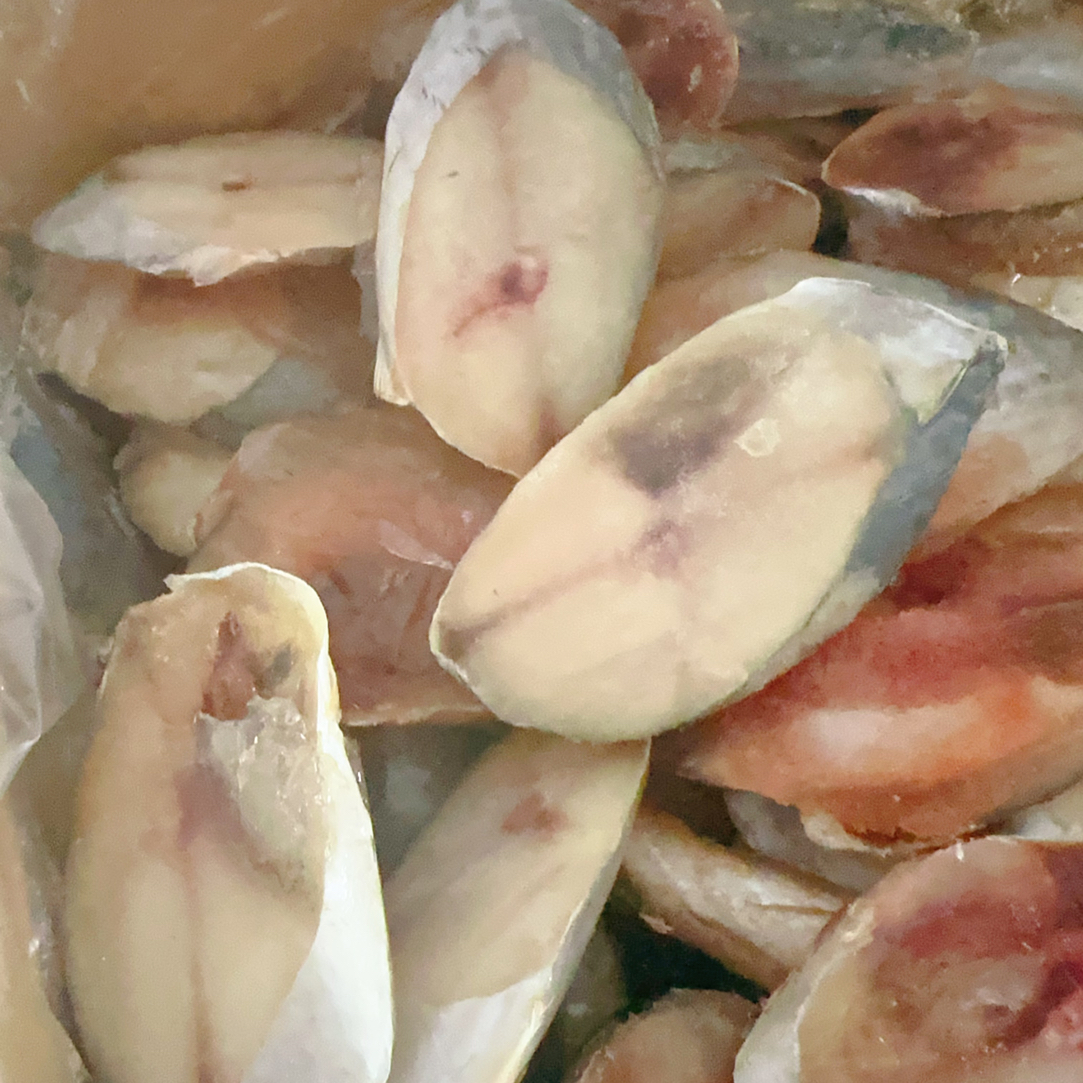 马鲛鱼片500g单冻带冰衣