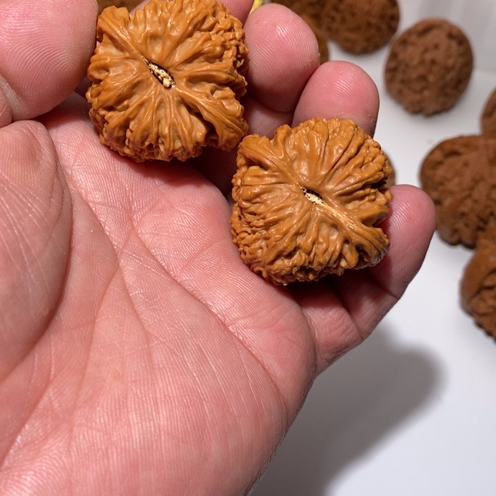 桃核吊坠长*文玩核桃