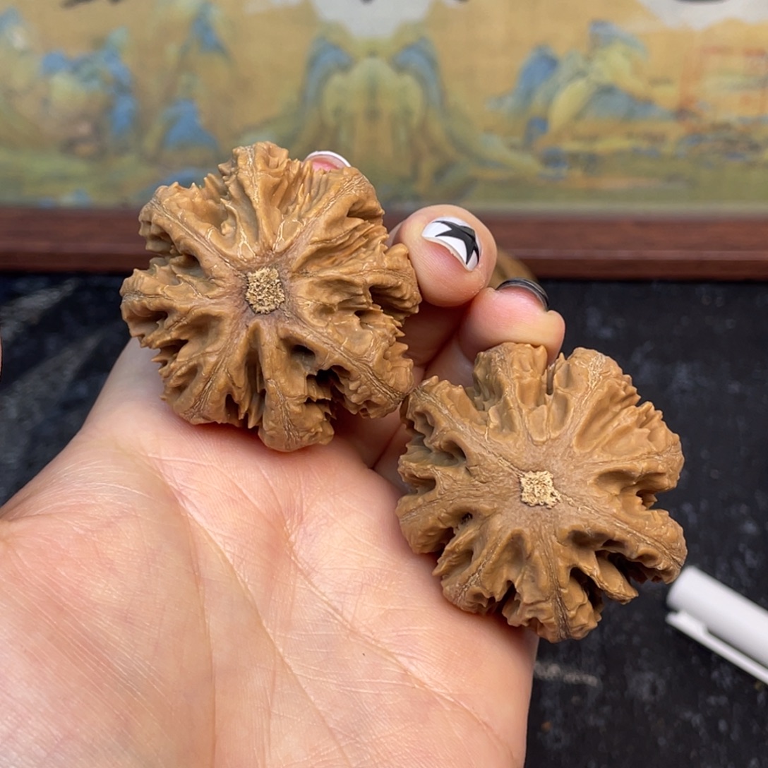 北***岛把件文玩核桃39号