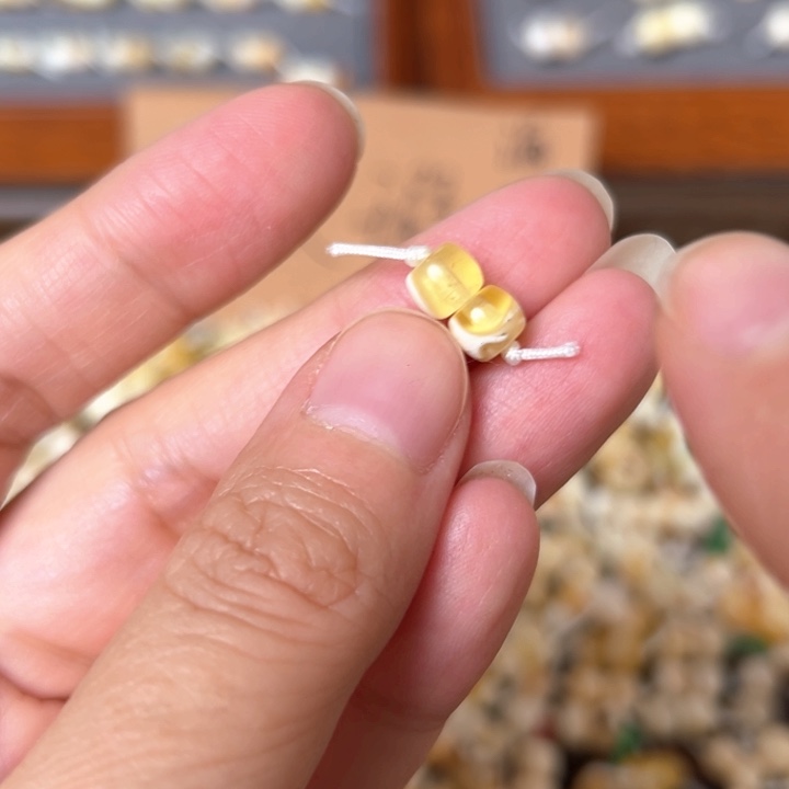 蜜蜡未镶嵌裸石6.1mm一对