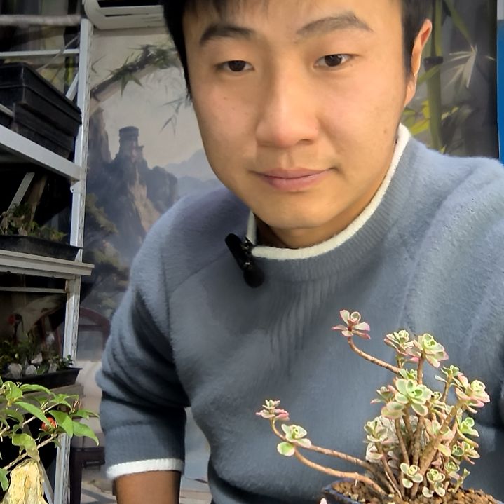 八***月中青园艺一物一拍花430
