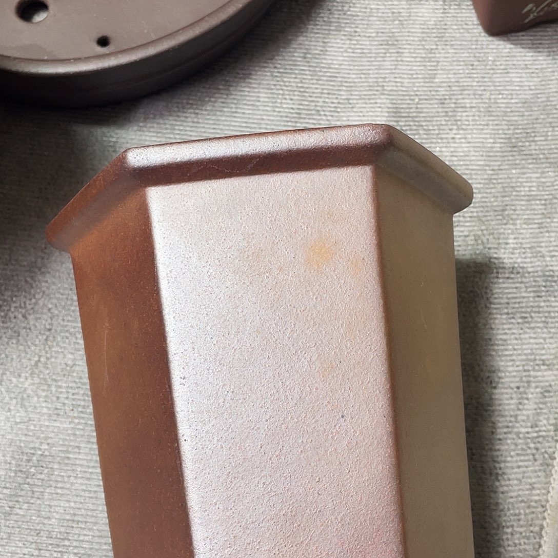 紫砂小盆11*12cmmmm