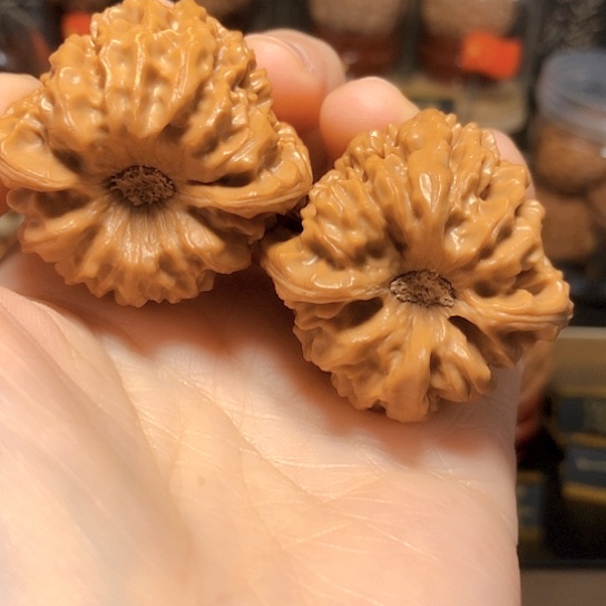 深凹底：精品龙门涧