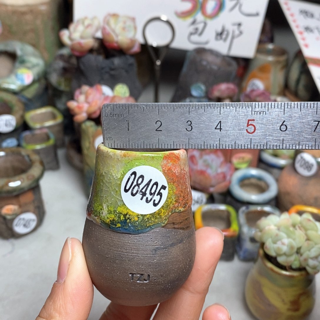 花盆拍5送一个小礼物