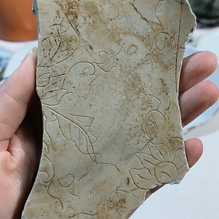 瓷片瓷片瓷片瓷片瓷片