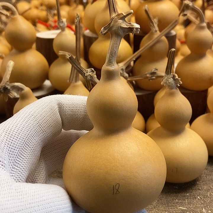 文玩葫芦 完美主义者 慎拍18