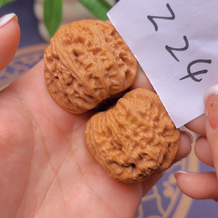 文玩核桃把件白狮子24