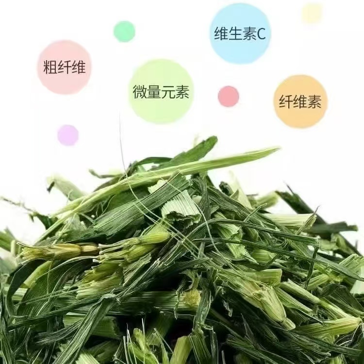 烘干大麦草绿色清香含粗纤维适合  侏儒兔  垂耳兔食用的干草