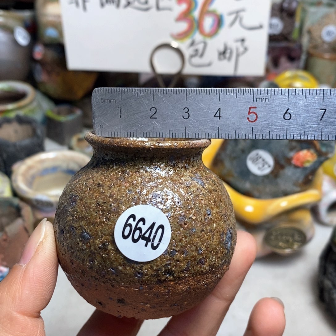 特价花盆不退不换原价15