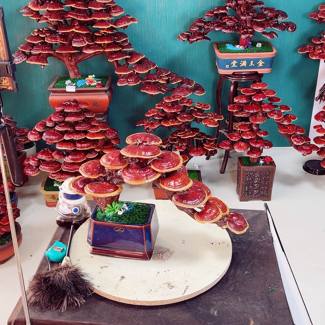 【闪购商品】全部花朵