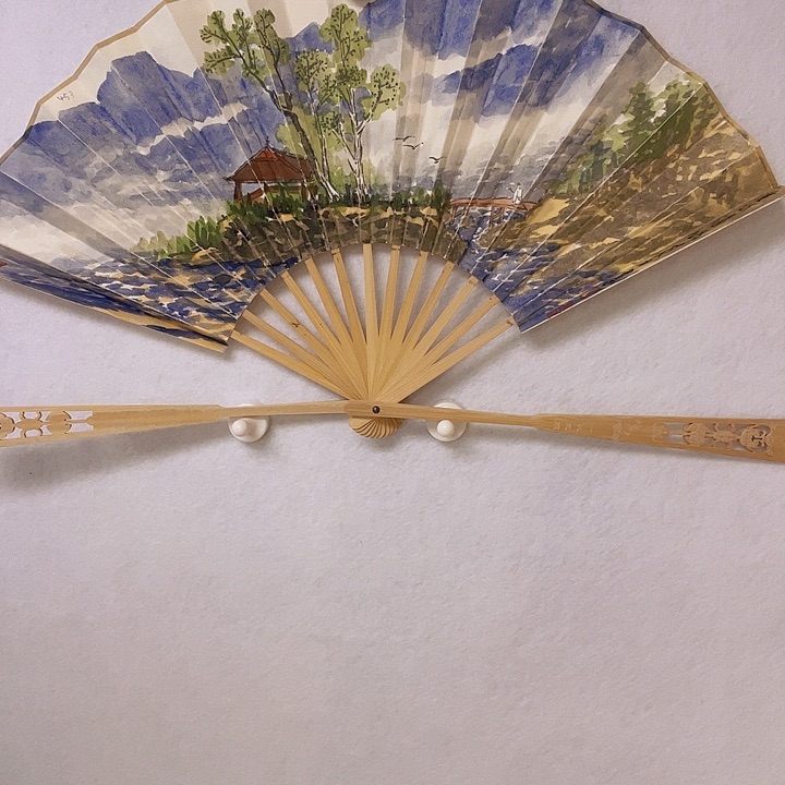 国画听田鉴真田老师推荐精品