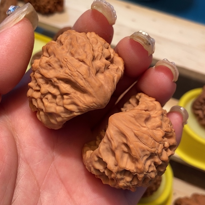 官方网站发布消息