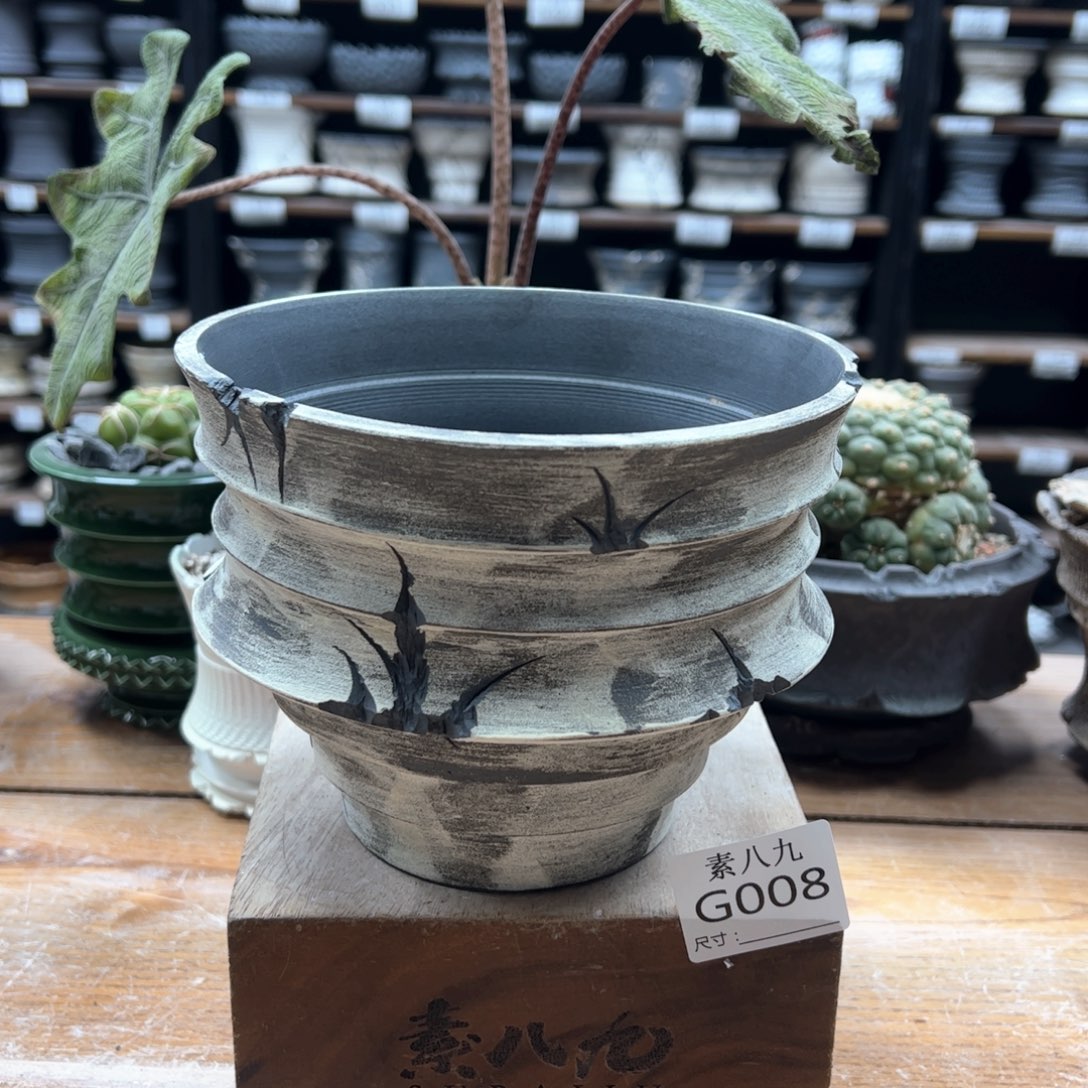 素八九陶瓷内口15.5高13