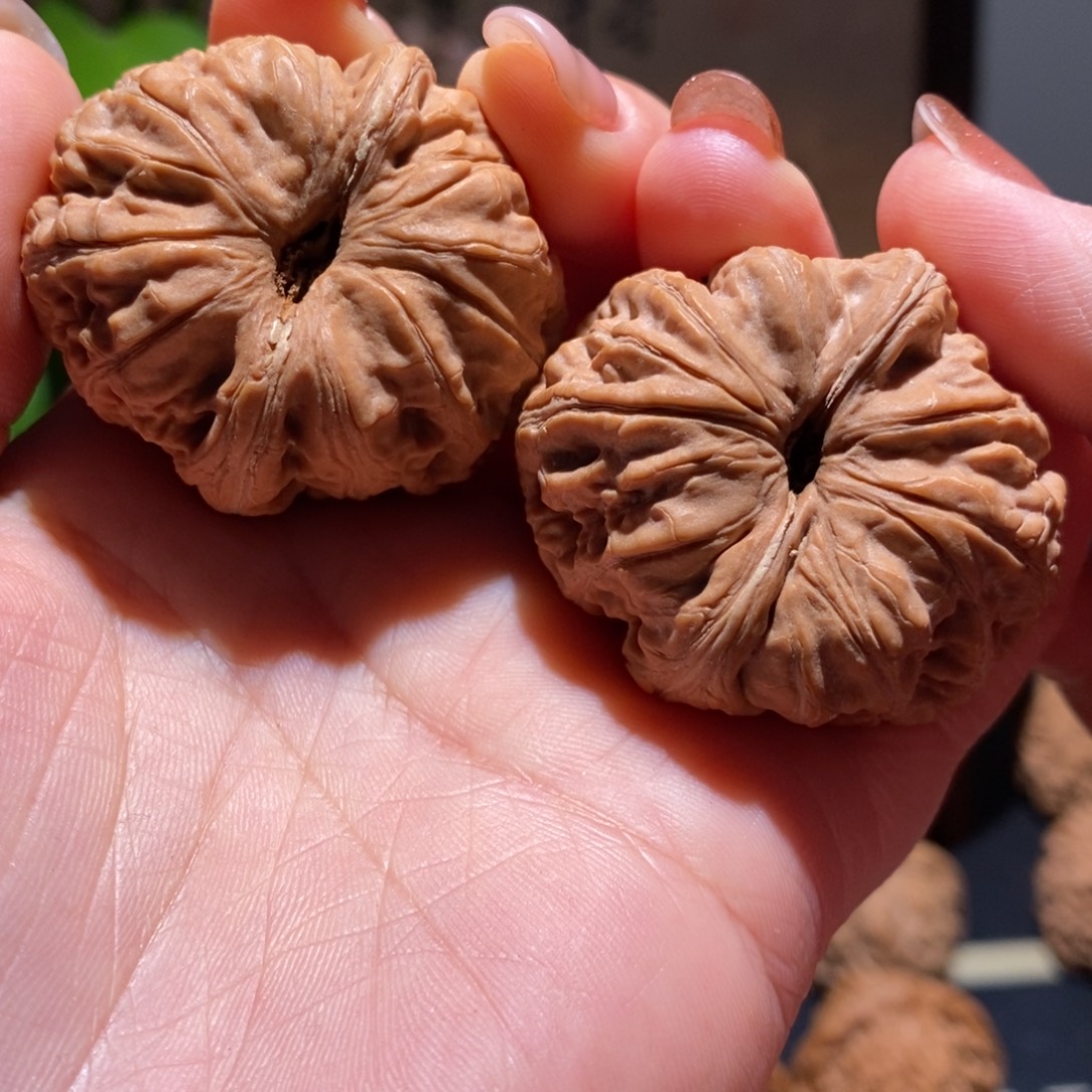 文玩核桃把件元宝42品质非常好