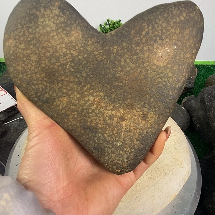 手串/手链贝壳黄乡雨石