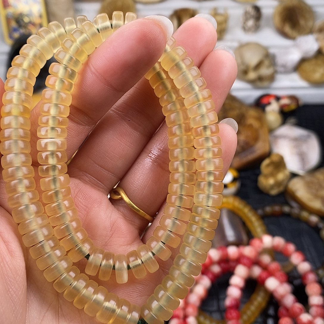 其他驼骨老羊角直切0.8/108