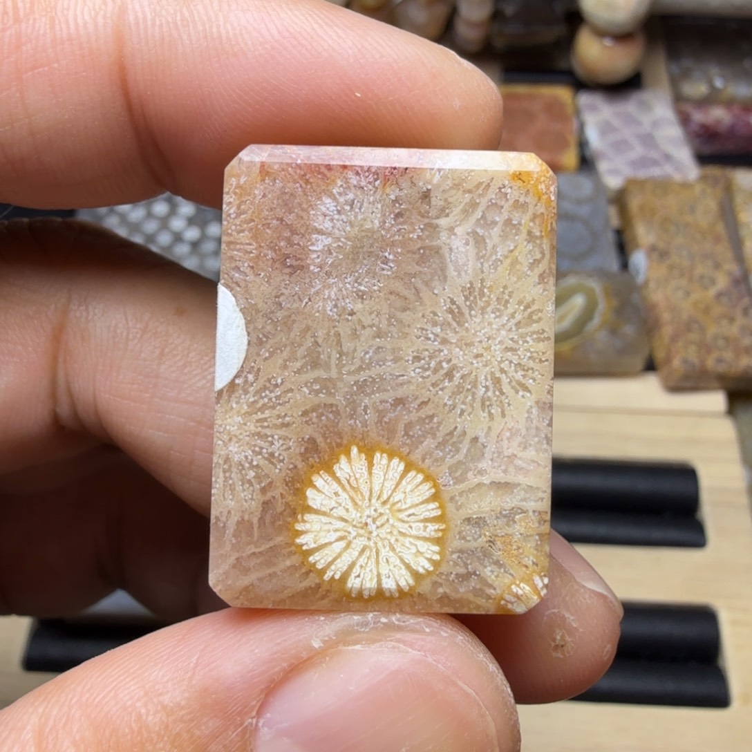 硅化玉未镶嵌纯天然色有你玉石保真色