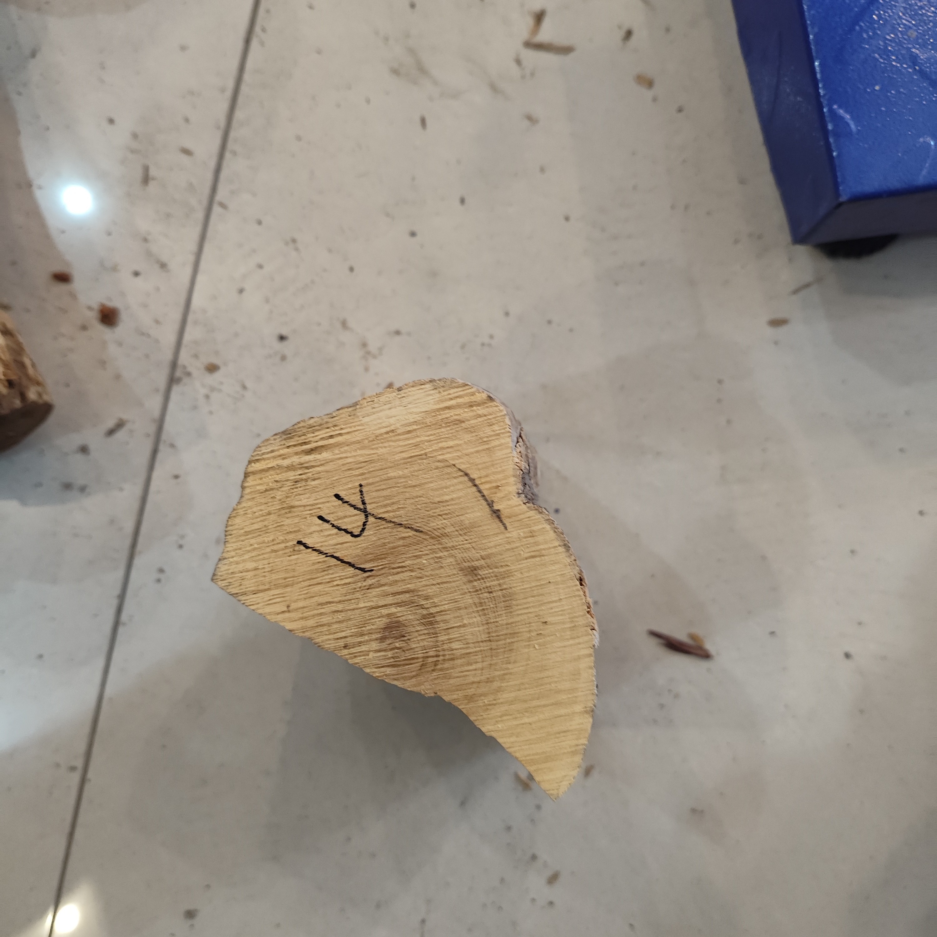 湖北珍珠黄杨木老料