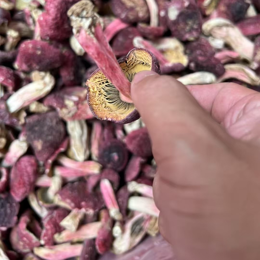 【胡豆与超林子】代卖农家红菇干货无硫小红菇菌菇煲汤红菇