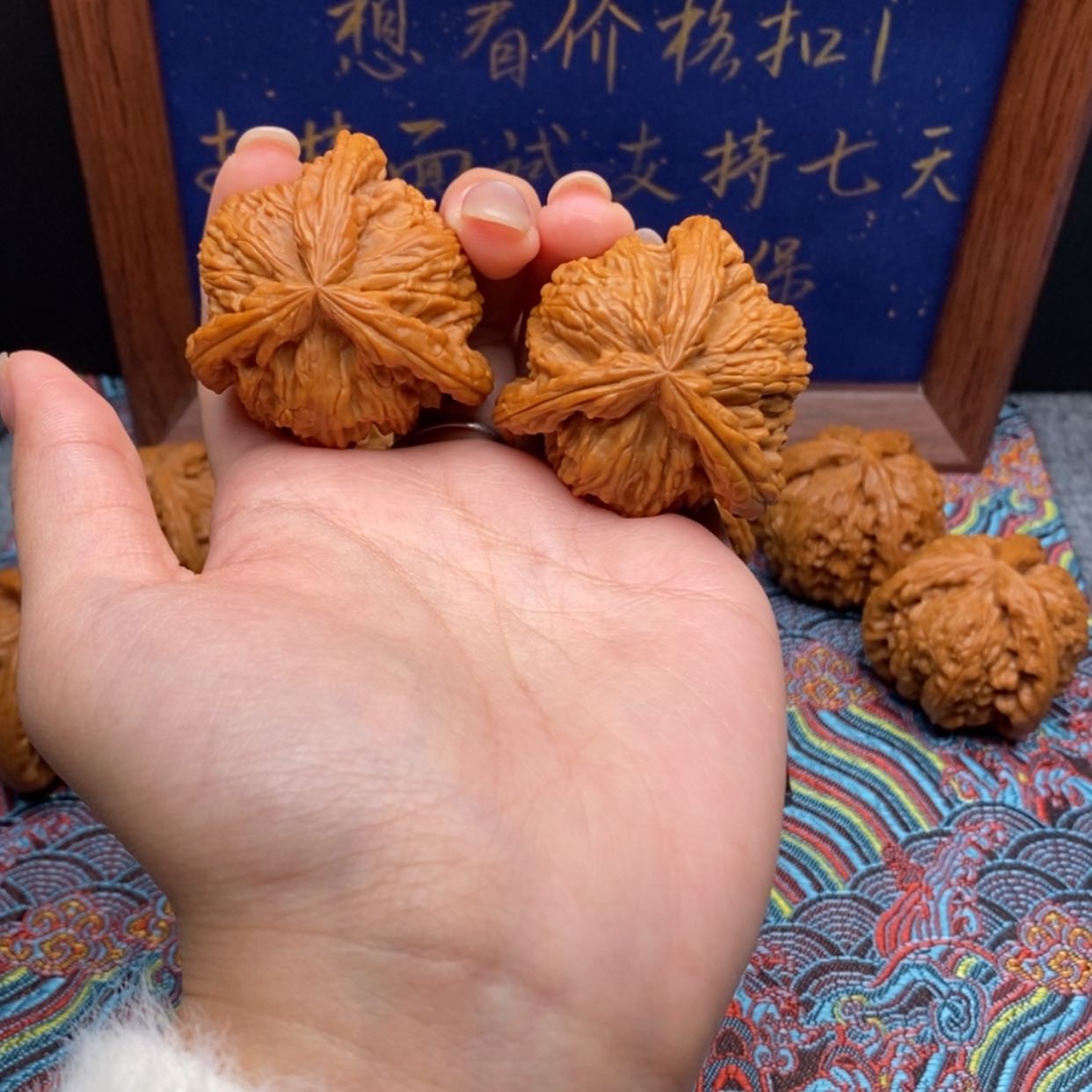 【闪购商品】张*白狮