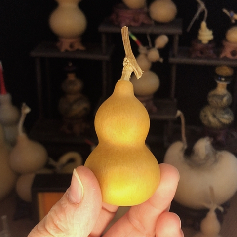 葫芦福利小葫芦来喽