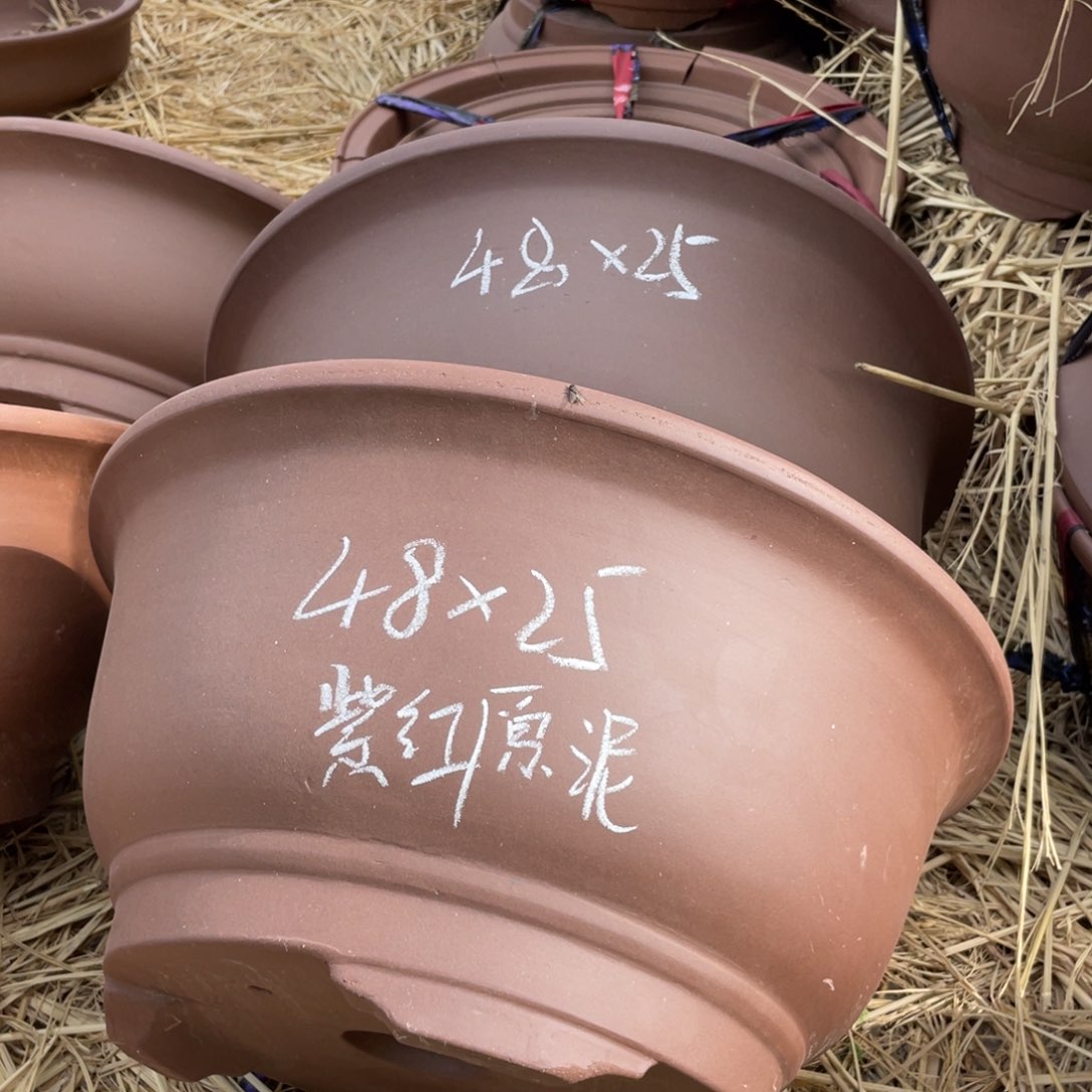 48*25。         俩支