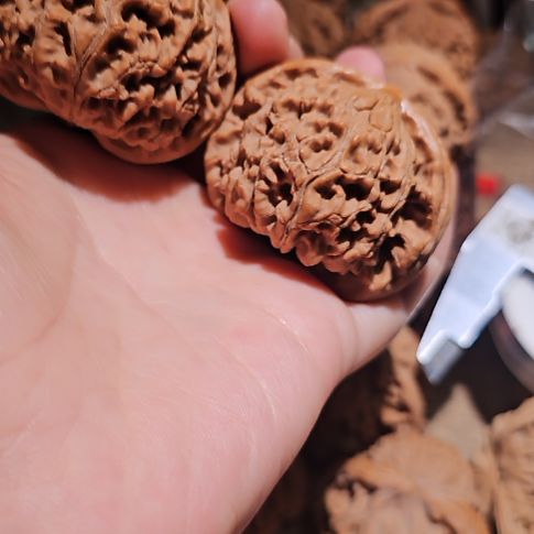 吊坠文玩核桃47.5水龙