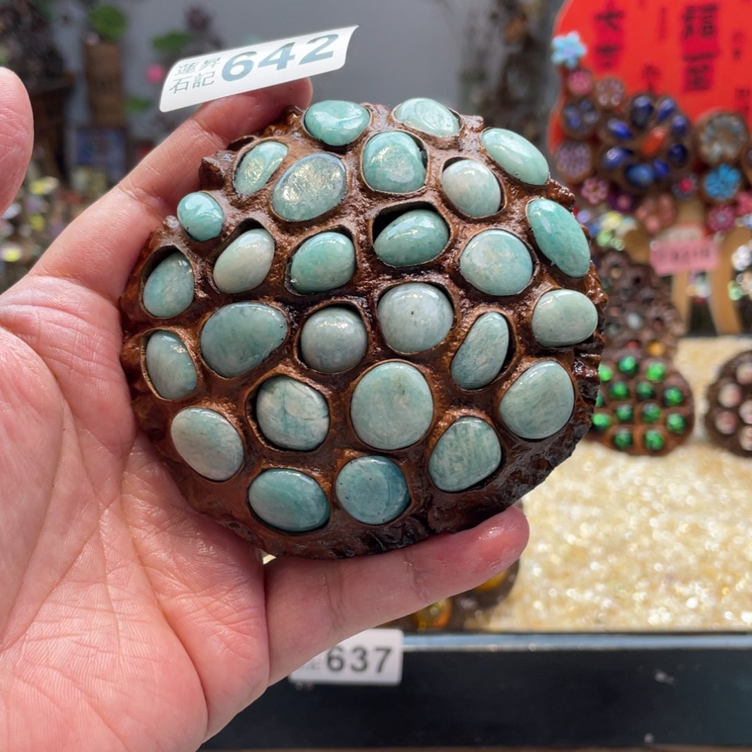 核桃木/黑胡桃（胡桃木）642蘑菇