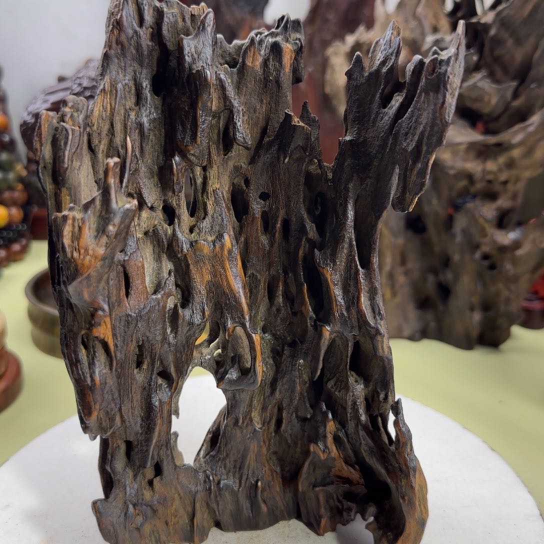 大果紫檀（缅甸花梨）向***7