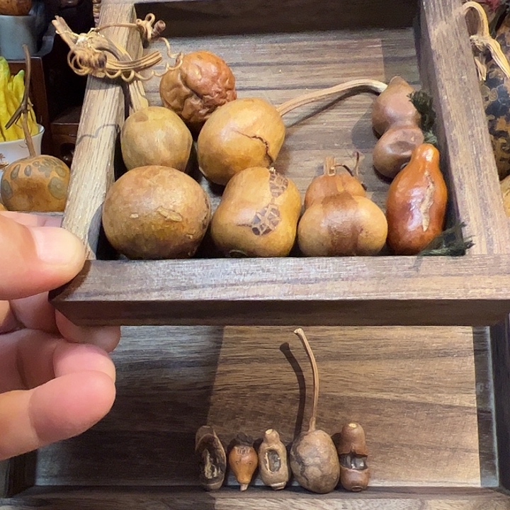 时***轩大叶紫檀（黑酸枝木类）