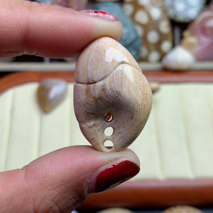 硅化珊瑚（珊瑚玉）颈饰未镶嵌