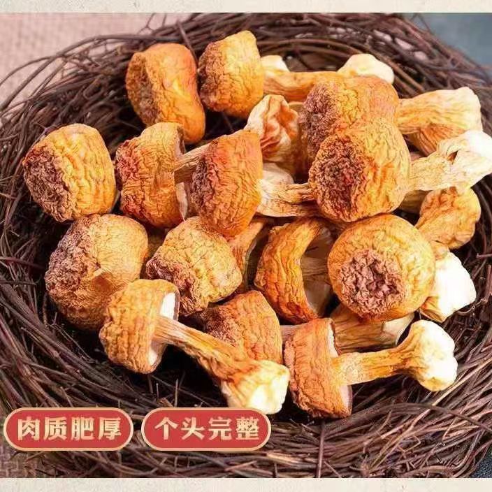 长白山 姬松茸 蘑菇净重500克