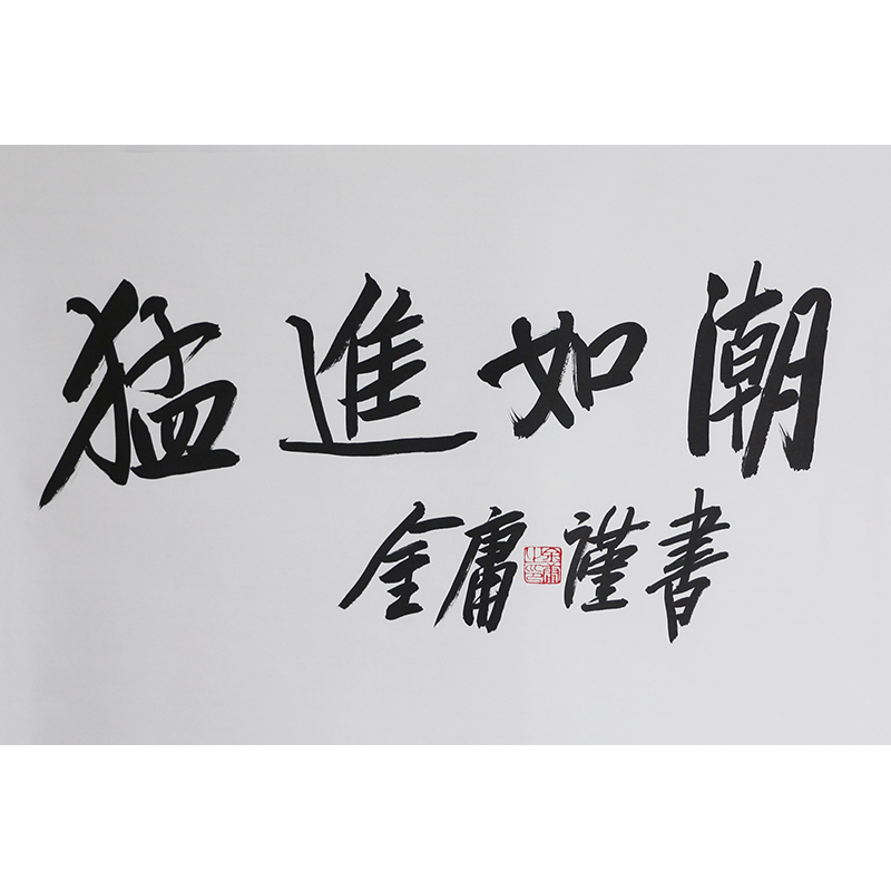 C421 金庸书法软片 45cm×70cm